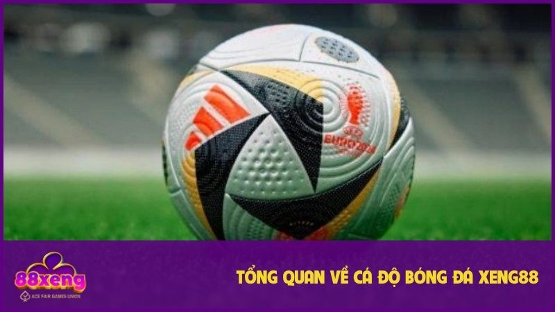 Cá độ bóng đá Xeng88 - Tỷ lệ kèo đa dạng, soi kèo chuẩn xác 1 Hình thức luôn chứng kiến hội viên đặt cược mỗi ngày