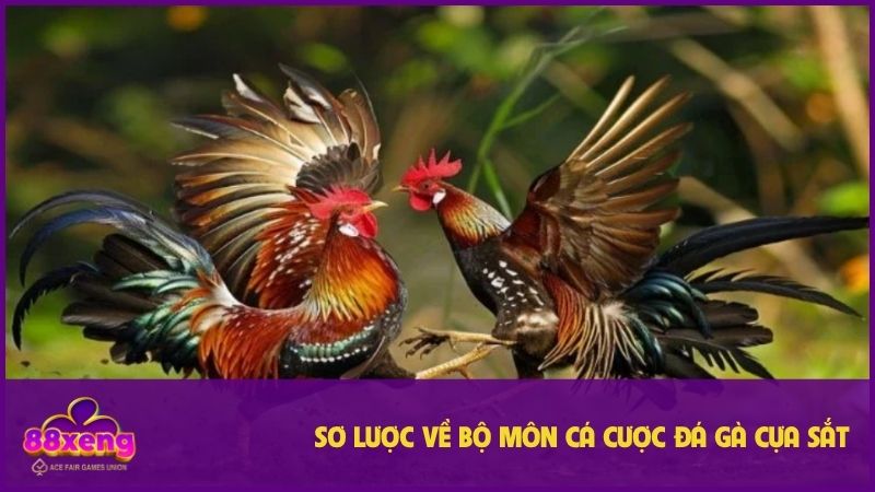 Bộ môn hấp dẫn trong từng pha ra đòn hiểm hóc