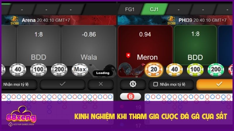 Một vài mẹo chọn chiến kê trong đá gà cựa sắt