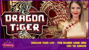 Dragon Tiger Live – Trải Nghiệm Game Đỉnh Cao Tại XENG88