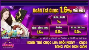 Hoàn Trả Cược 1.6% Mỗi Ngày – Cách Tăng Vốn Đơn Giản